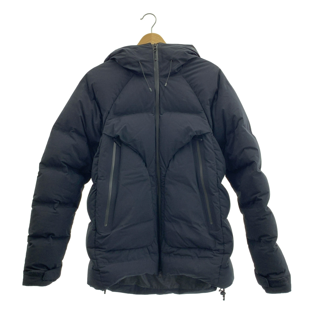 Goldwin / 골드윈 | Spur Down Jacket 슈푸르 고어텍스 광전자 다운 재킷 | M | 남성