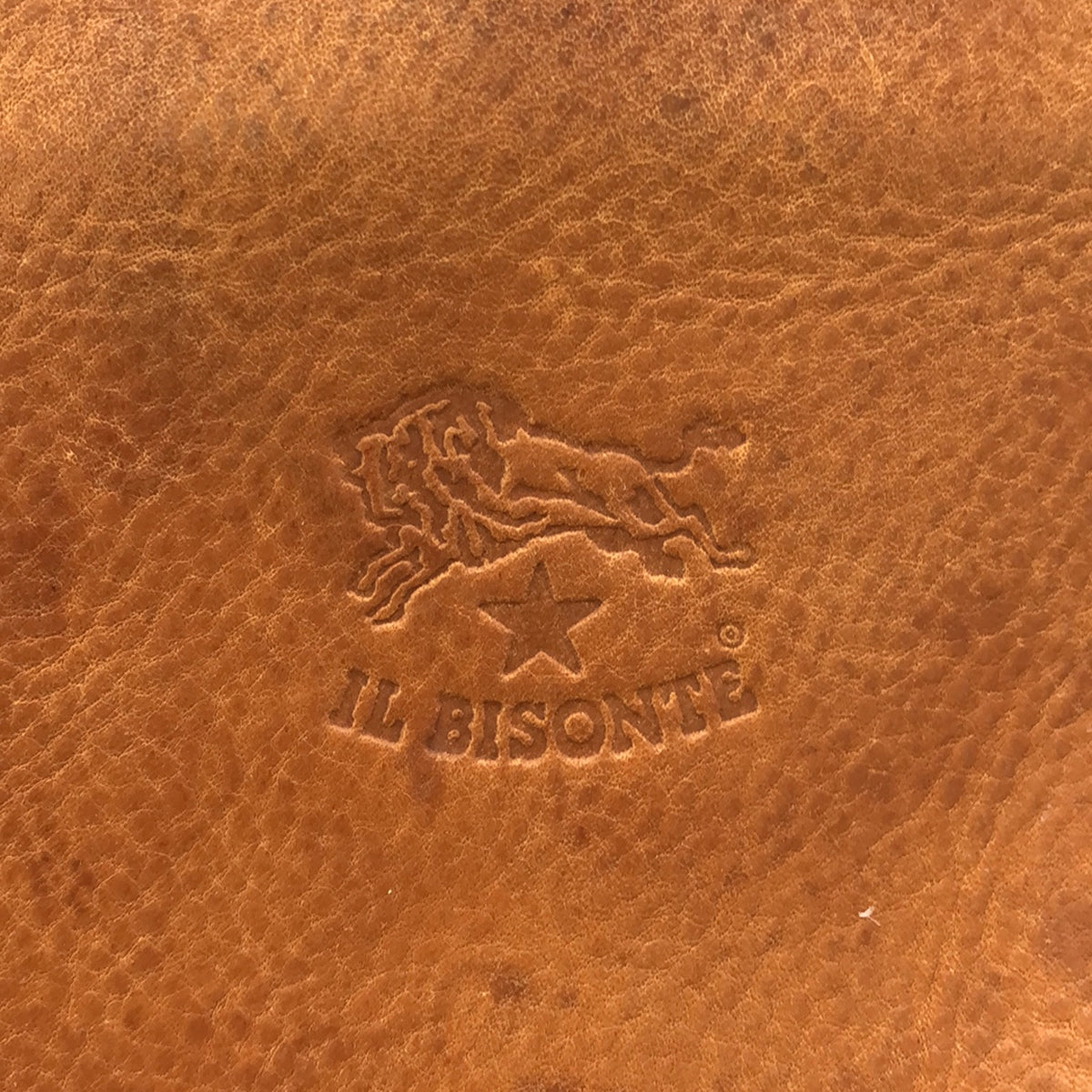 IL BISONTE | Leather handbag | Brown | Women's