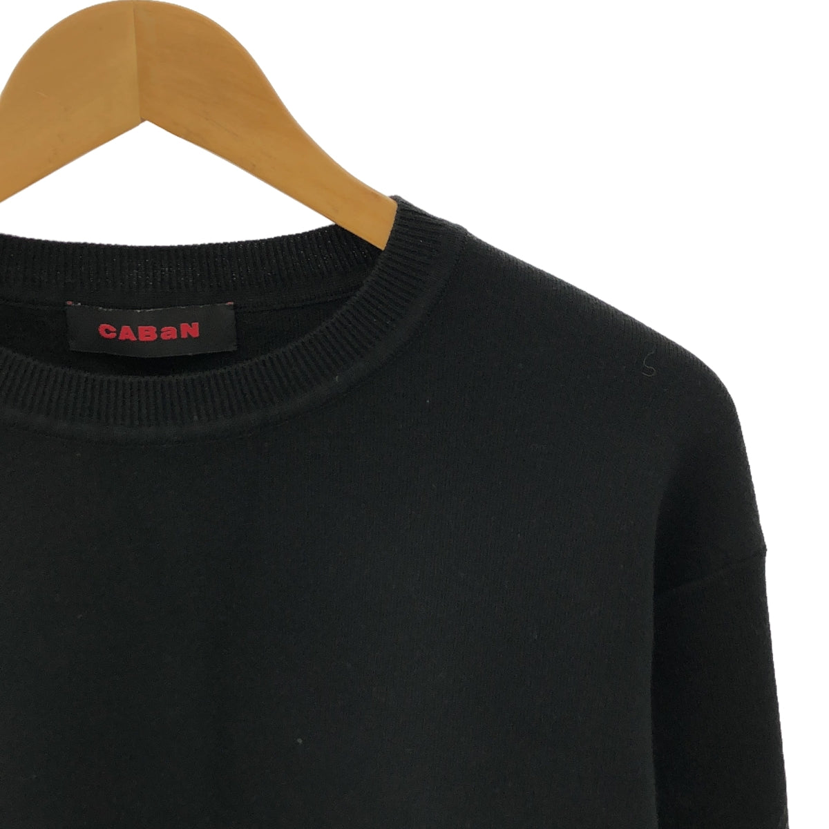 CABaN / キャバン | 2022SS | コットンカシミヤ クルーネックプルオーバー | S | レディース