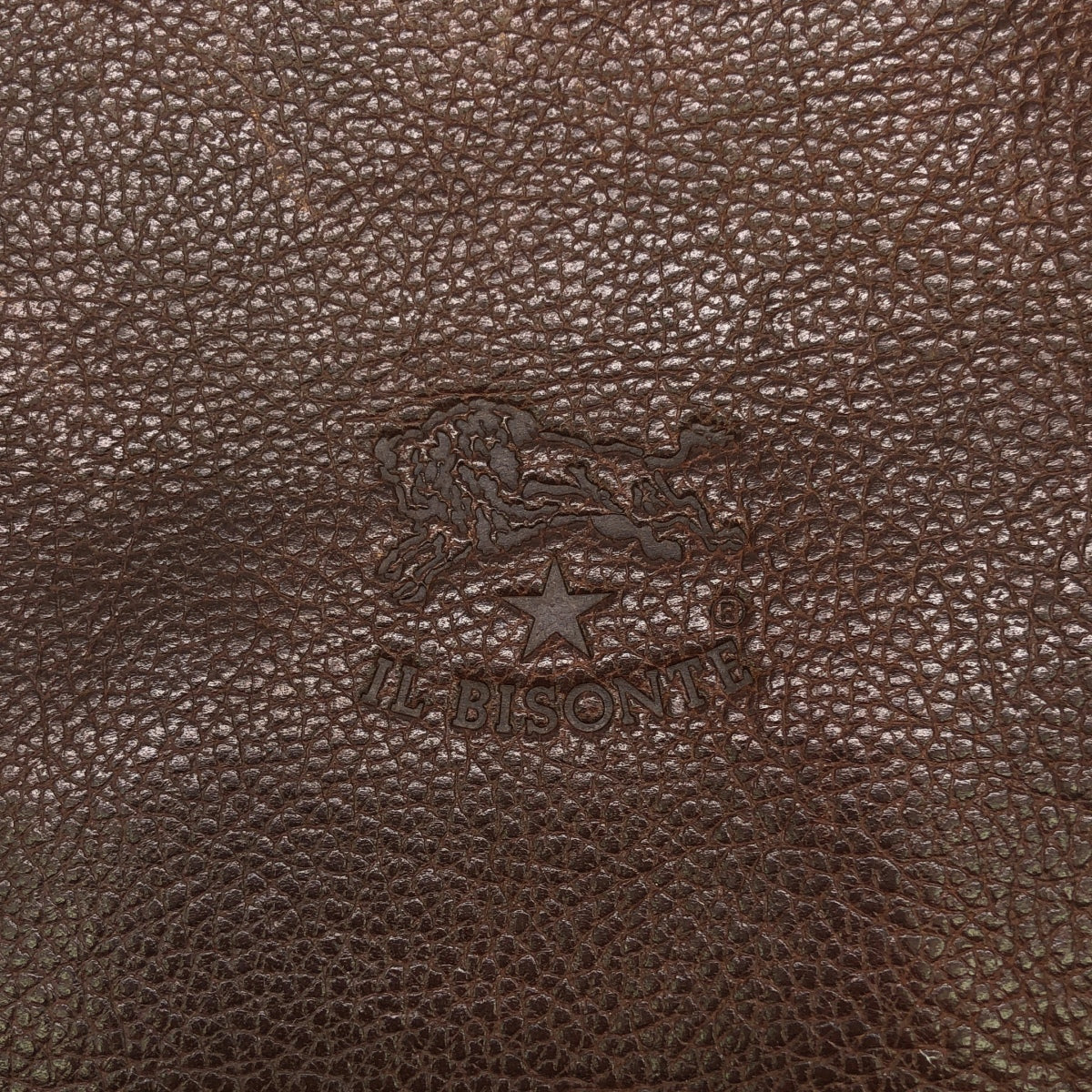 IL BISONTE | Candy Leather Canvas Tote Bag | Brown/Purple | Women's