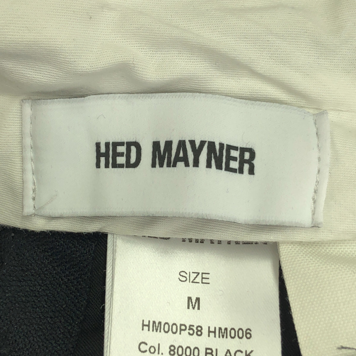 HED MAYNER | 2022AW | 6 Pleats Pants Wool Twill | M | Black | Men's