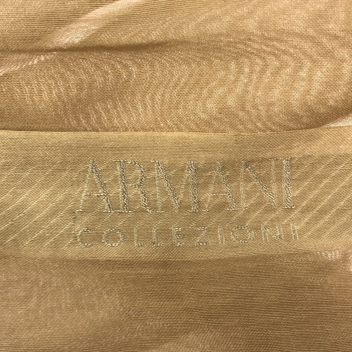 ARMANI COLLEZIONI / Armani Collezioni | Large logo scarf |