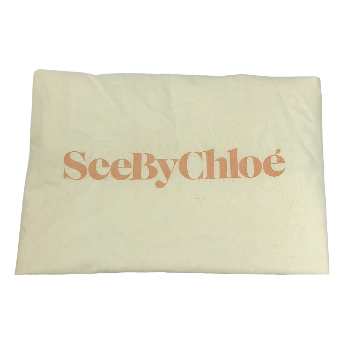 SEE BY CHLOE / シーバイクロエ | ジップデザイン 2WAY レザーバッグ |