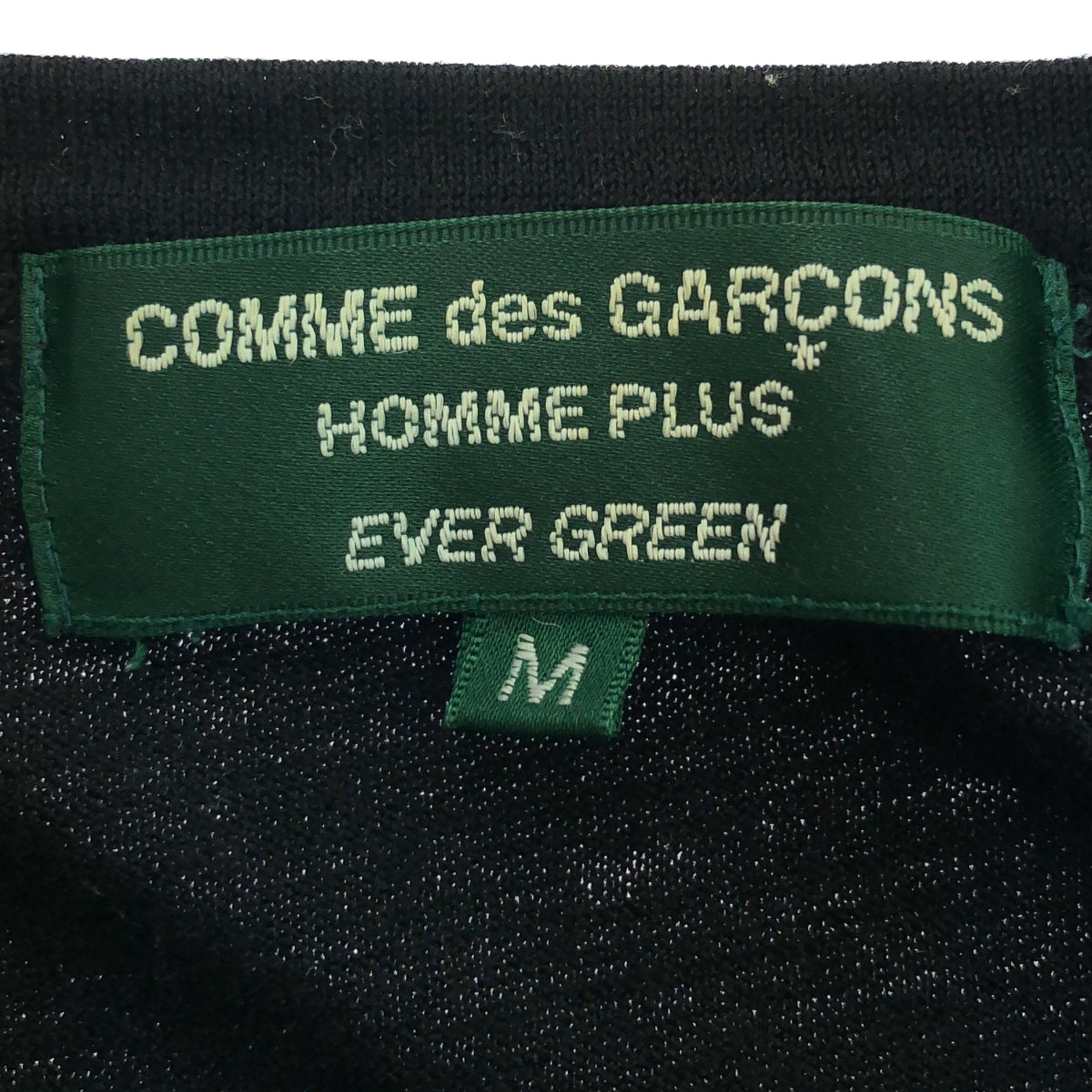 COMME des GARCONS HOMME PLUS / コムデギャルソンオムプリュス | EVER GREEN ウール プルオーバー ニット | M | ブラック | メンズ
