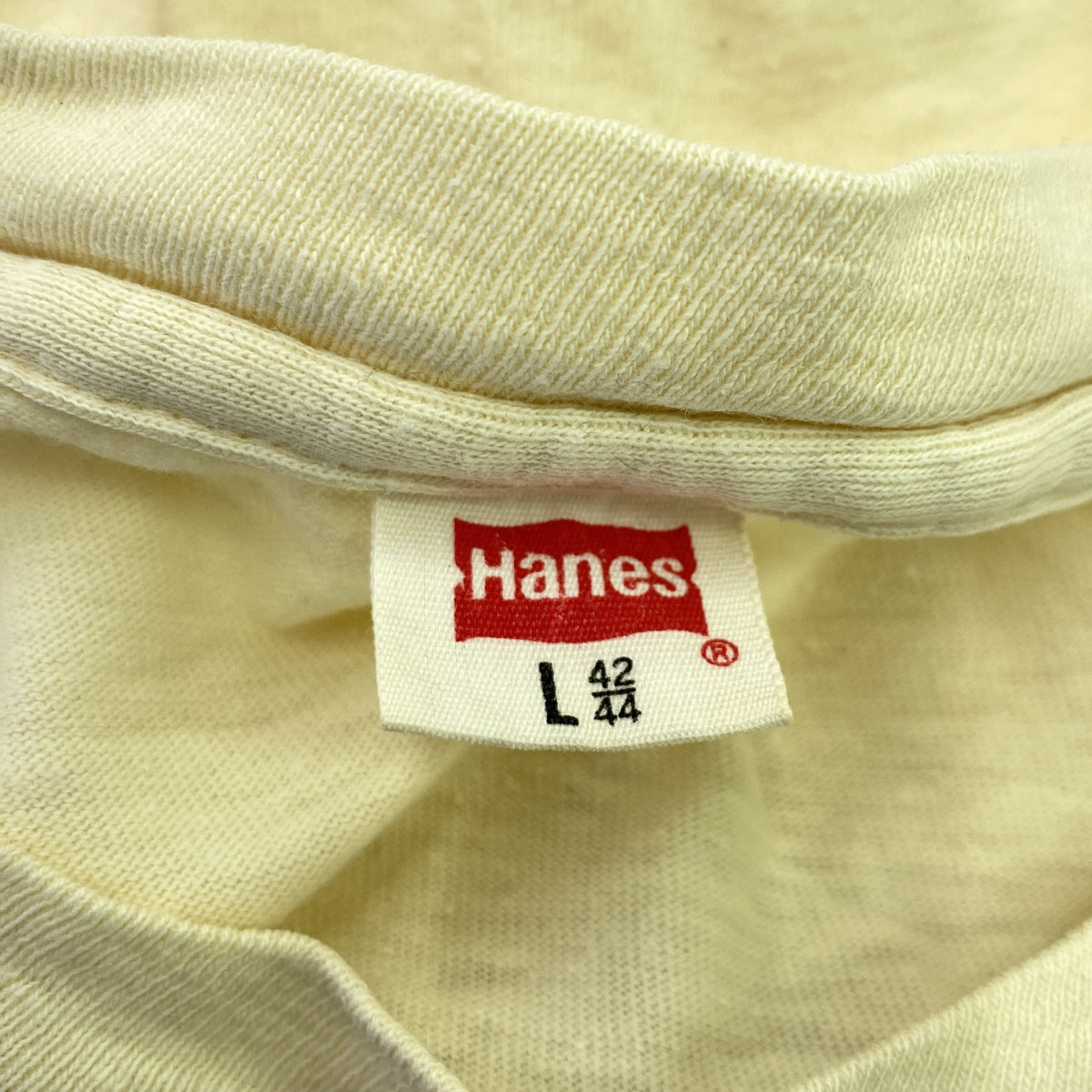 VINTAGE / ヴィンテージ古着 | 70s ヴィンテージ BLUEGRASS Tシャツ Hanes レッドフラッグタグ | L | メンズ