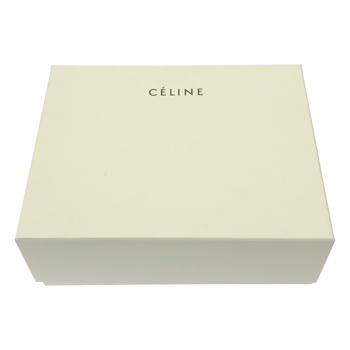 CELINE / セリーヌ | フィービー期 レザー ラウンドトゥ ウッド チャンキーヒール パンプス | 36 1/2 | ブラック | レディース