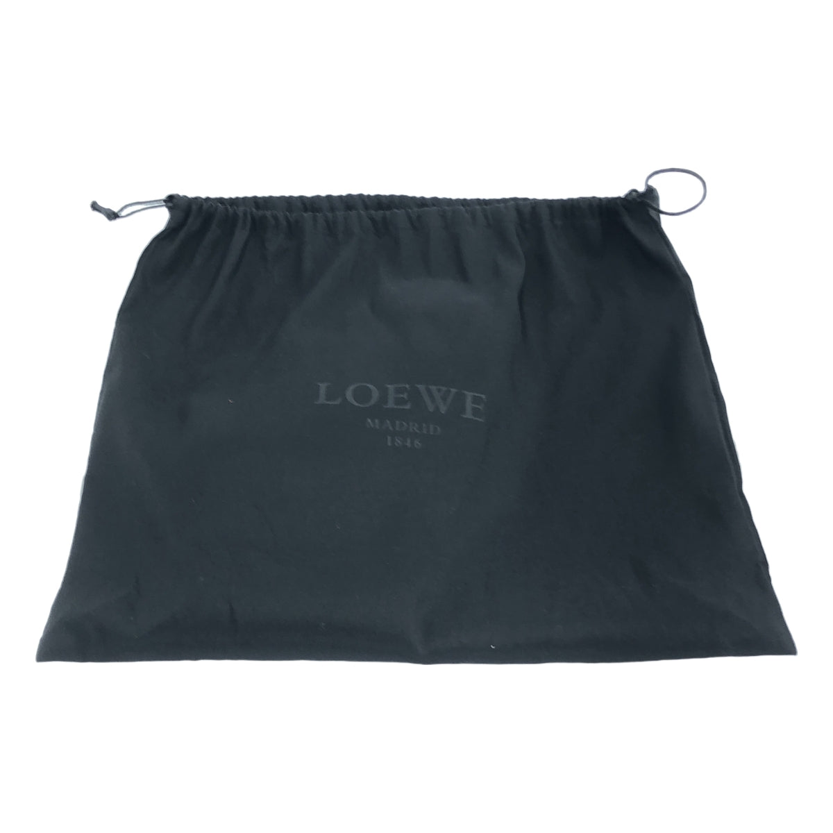 LOEWE | Amazona 28 Ribbon Padlock Handbag |