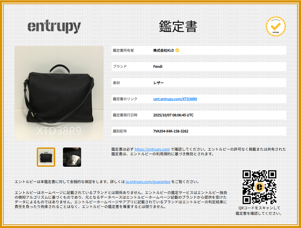 【美品】  FENDI / フェンディ | セレリア ピーカブー アイコニック バグズアイ 2way レザー ブリーフケース | ブラック | メンズ