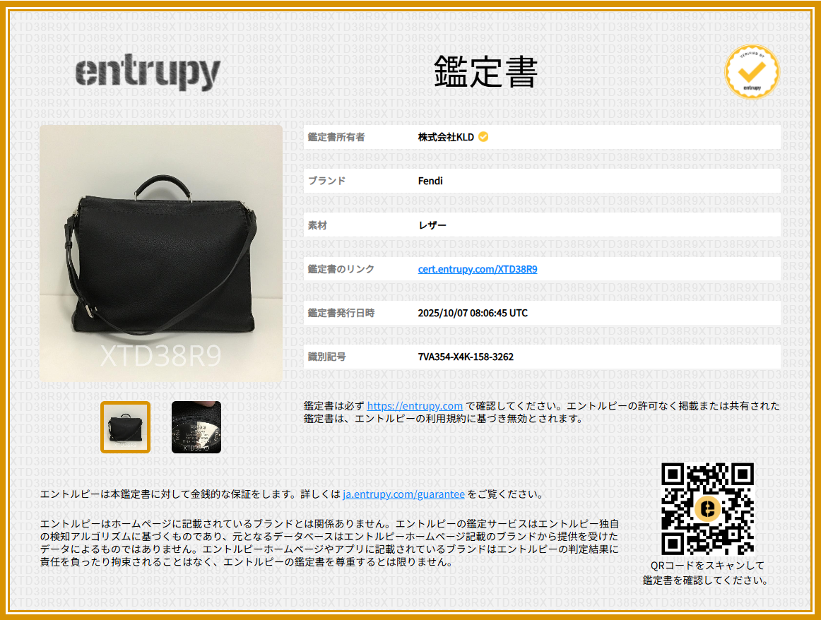 【美品】  FENDI / フェンディ | セレリア ピーカブー アイコニック バグズアイ 2way レザー ブリーフケース | ブラック | メンズ