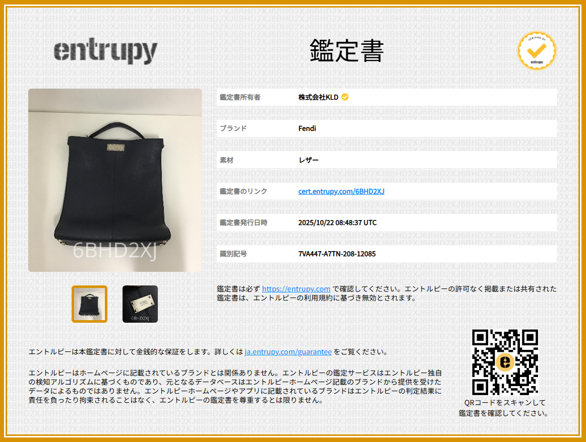 FENDI / フェンディ | 2Way ピーカブー エックスライトフィット バッグ | ネイビー | メンズ