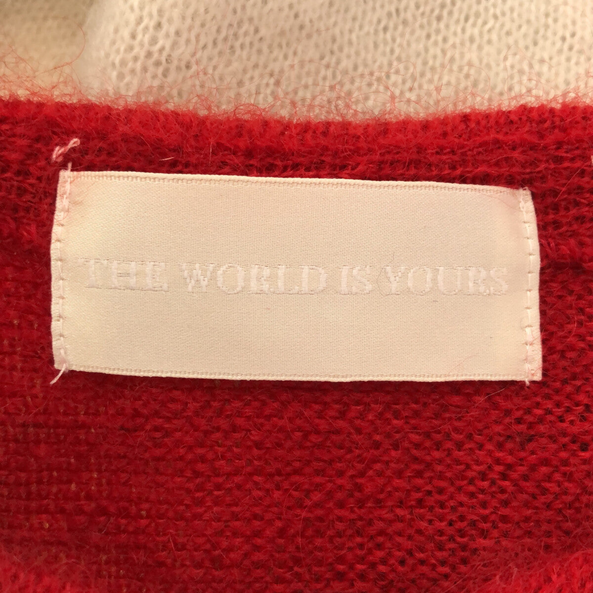 THE WORLD IS YOURS | 2021AW | Big logo mohair knit | M | Red | Men's