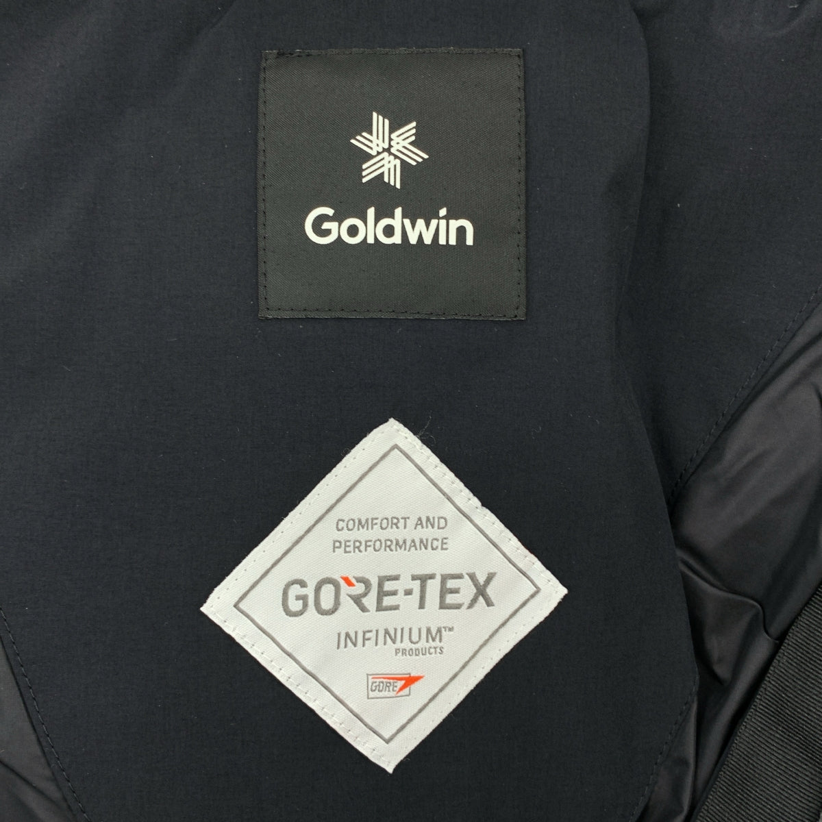 [狀況極佳] Goldwin Spur 羽絨服，Gore-Tex 光電羽絨服，M 碼，黑色，男款