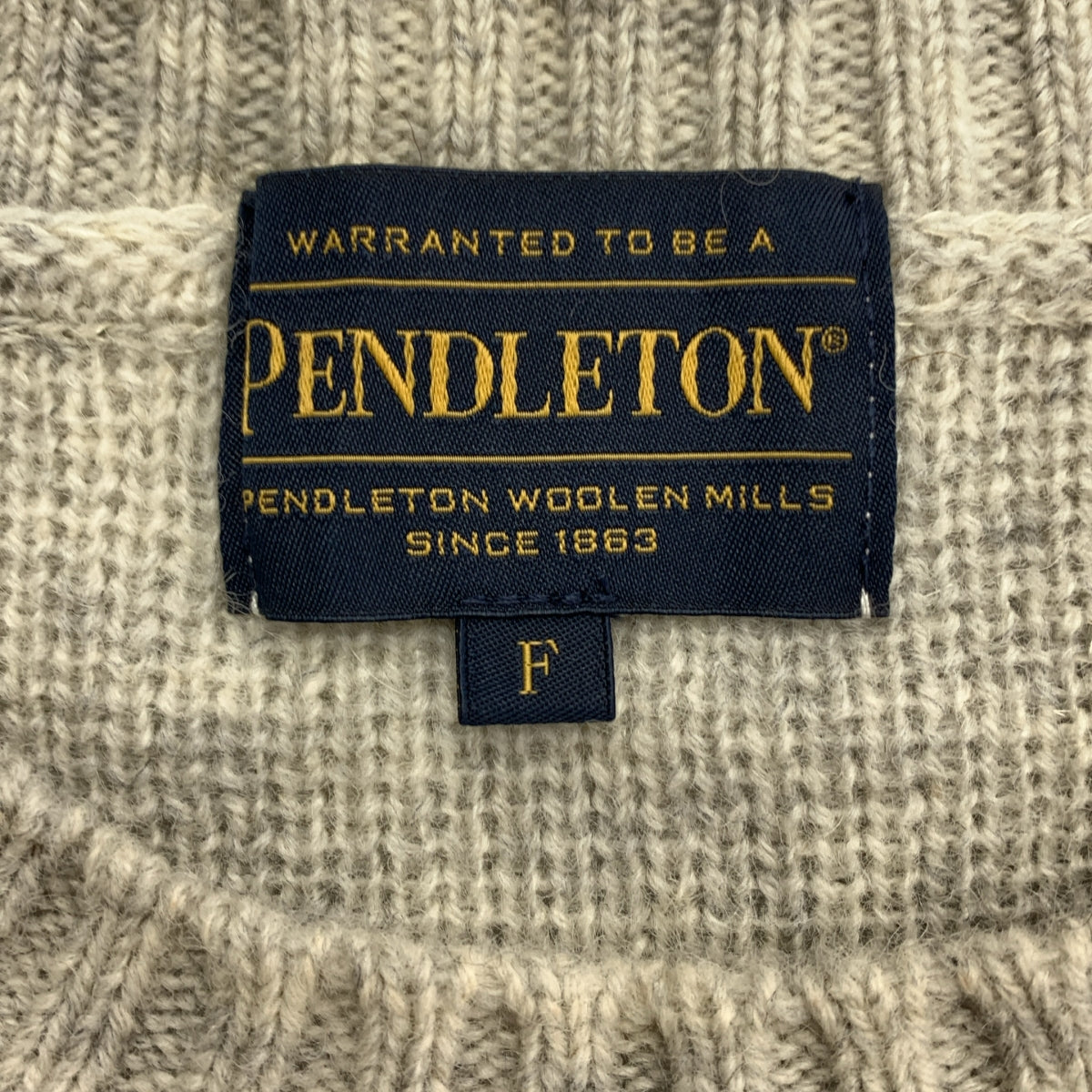 PENDLETON / ペンドルトン | ウール ネイティブ柄 クルーネックニット | F | メンズ