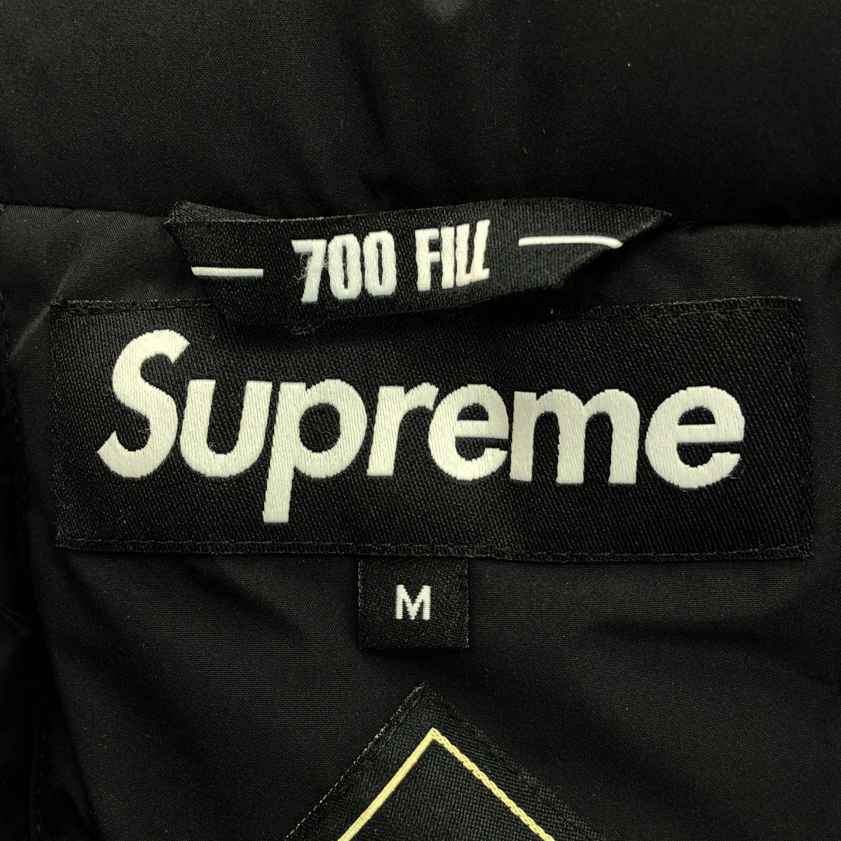 【美品】  SUPREME / シュプリーム | GORE-TEX 700-Fill Down Parka / フィルパワー ダウンパーカー ジャケット | M | black | メンズ