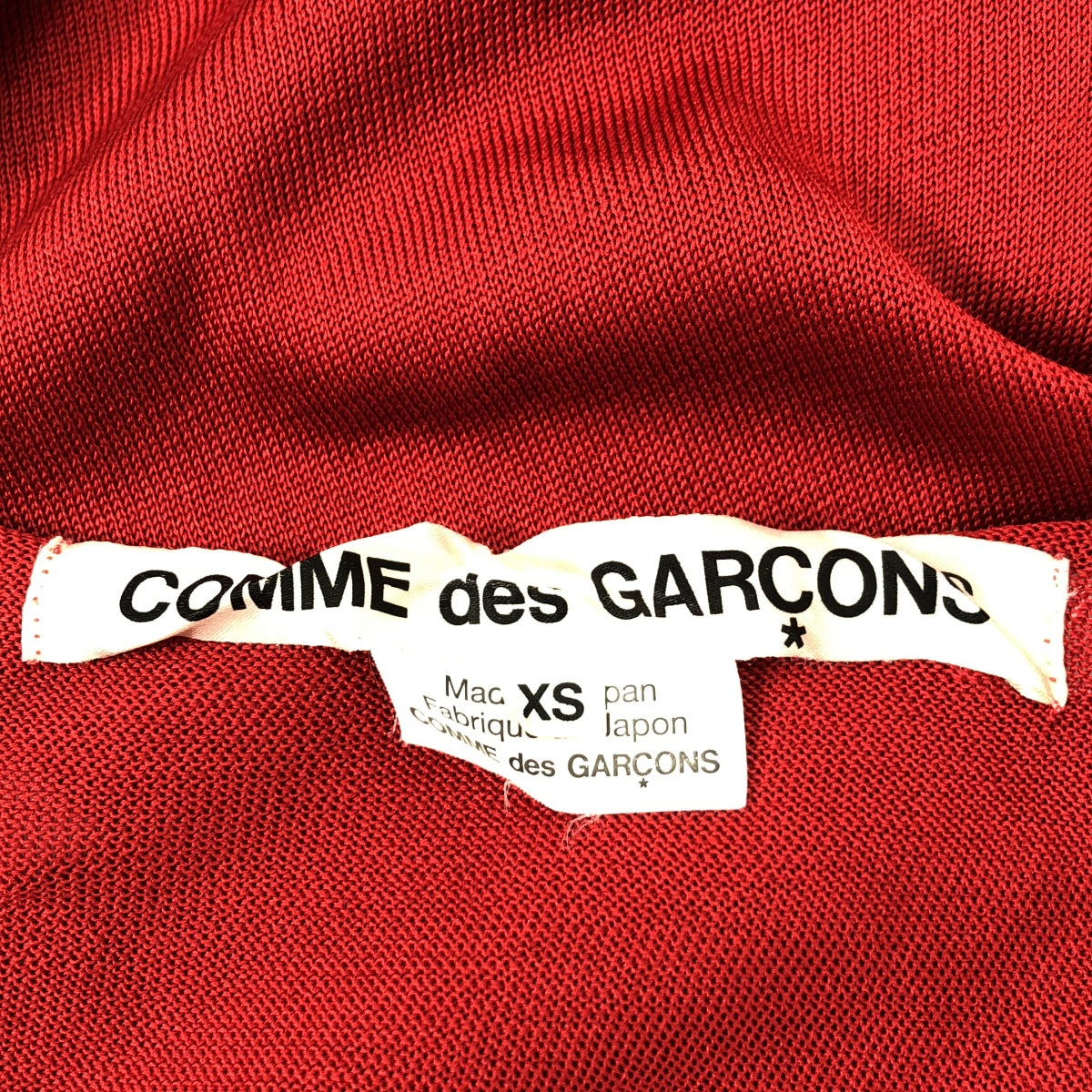 COMME des GARCONS / コムデギャルソン | 2018SS | ポリエステル アセテート フリル装飾 ニット プルオーバー | XS | レディース