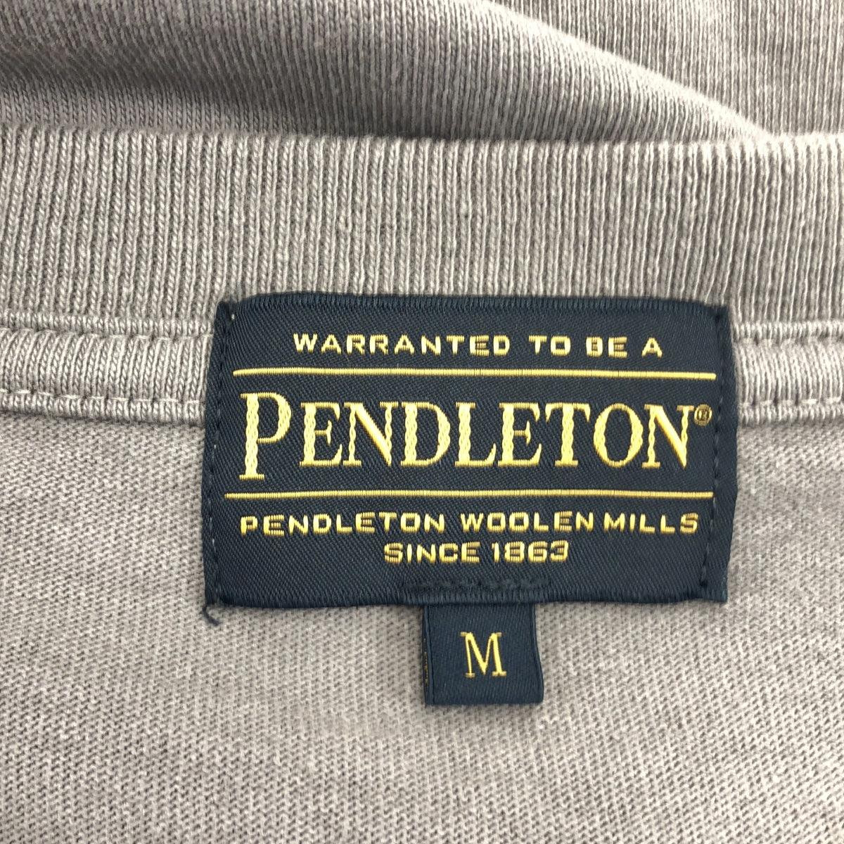 PENDLETON / 펜들턴 | Unisex Back Print Long Tee 컷소우 /3175-1006 | M | 남성