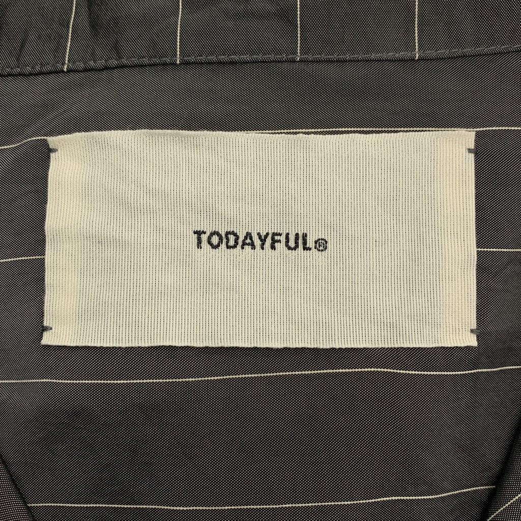 TODAYFUL / トゥデイフル | Stripe Silky Shirts ストライプシルキーシャツ | F | レディース
