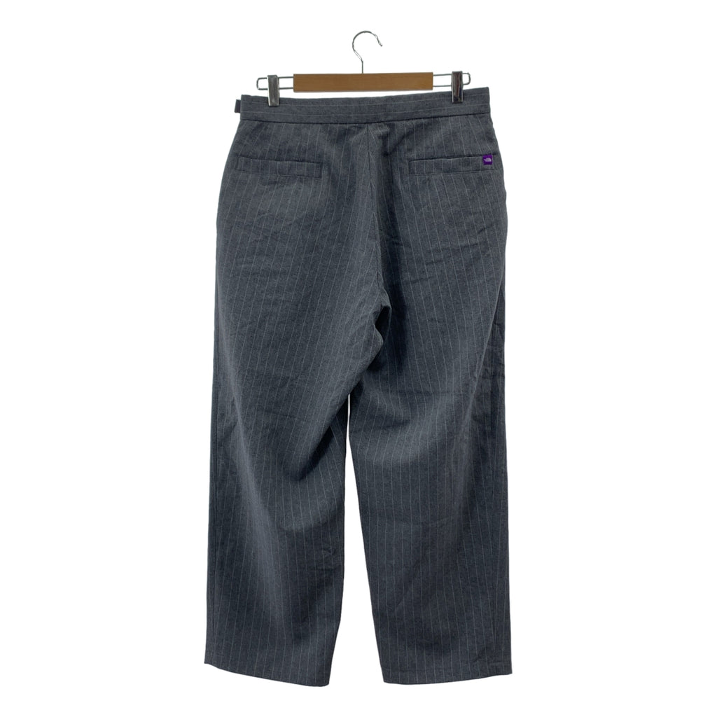 THE NORTH FACE PURPLE LABEL | 條紋運動褲 / N25SC029 條紋運動寬褲 | 尺寸 32 | 男款