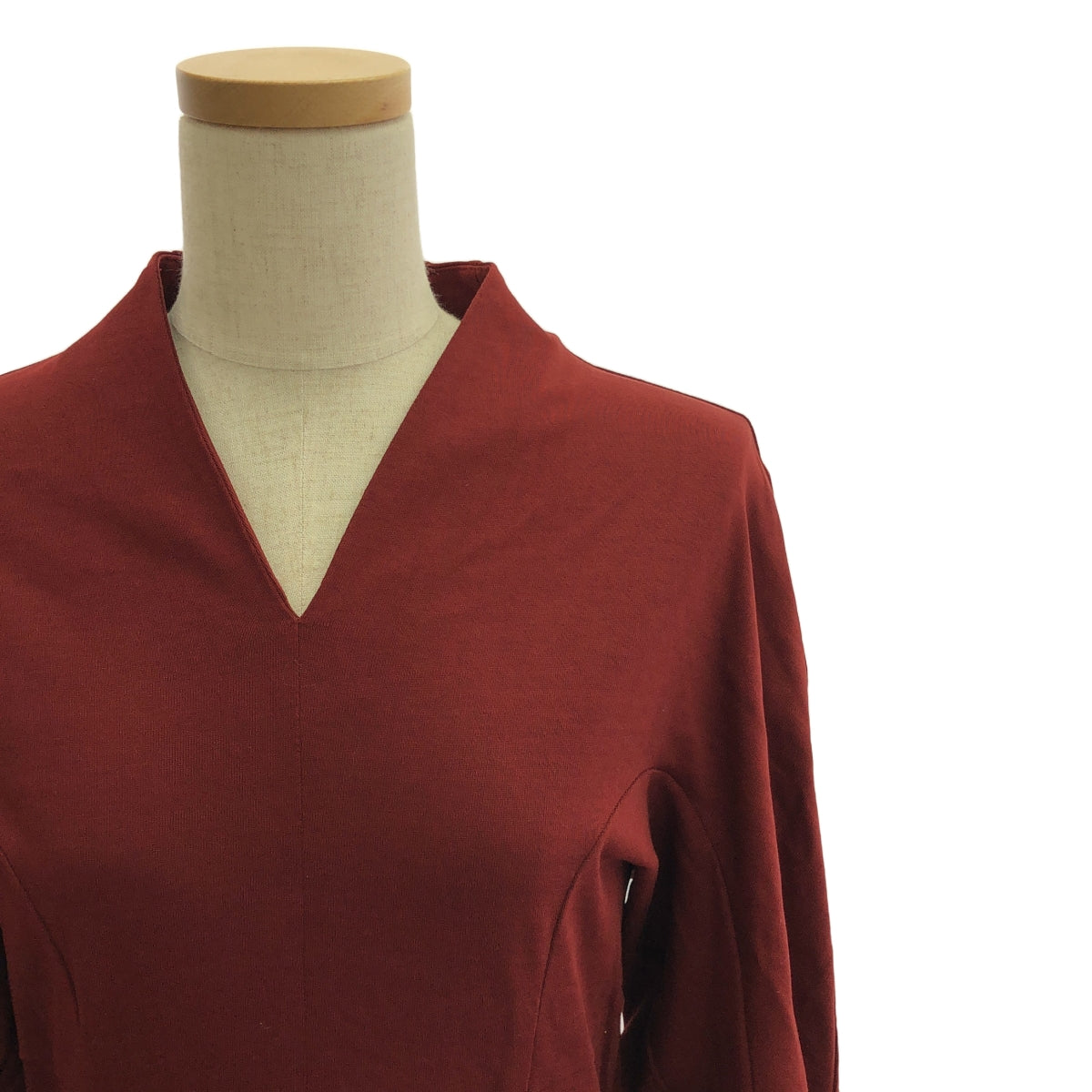 Mame Kurogouchi / マメクロゴウチ | 2022AW | V-Neck Classic Cotton Dress Vネックドレス ワンピース | 1 | テラコッタ | レディース