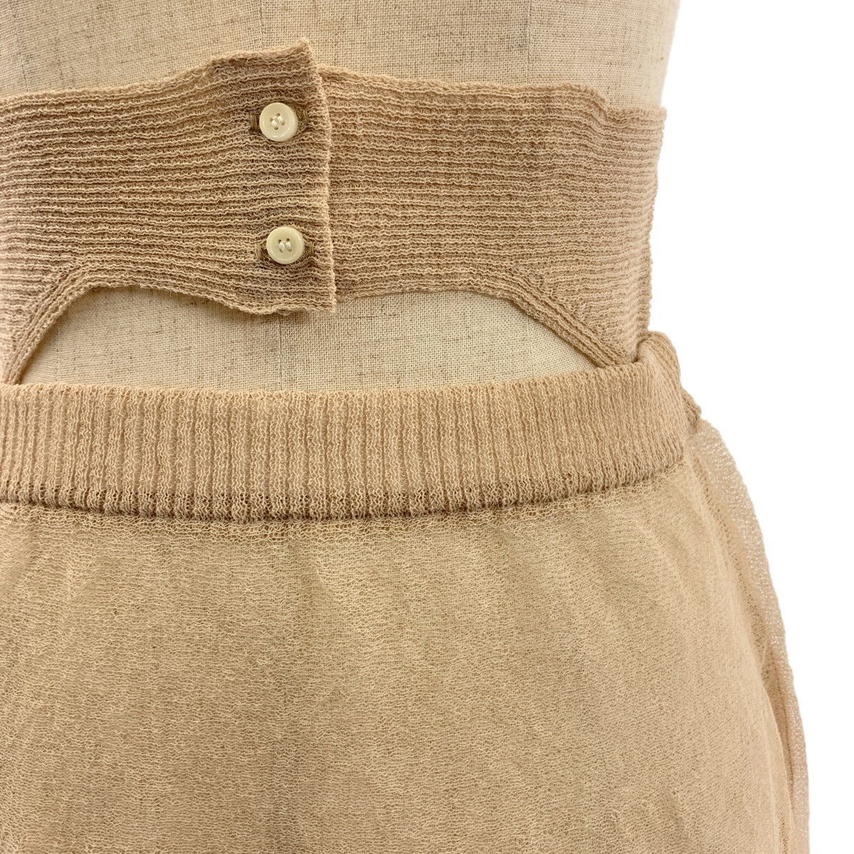 TAN / タン | シースルー ロングスカート | F | レディース