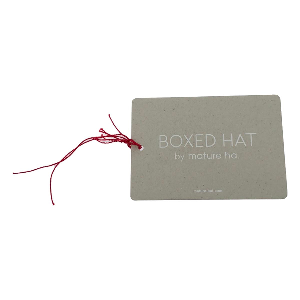 mature ha. / 마추아하 | BOXED HAT 11cm brim switch color line wide 모자 | 브라운 | 여성