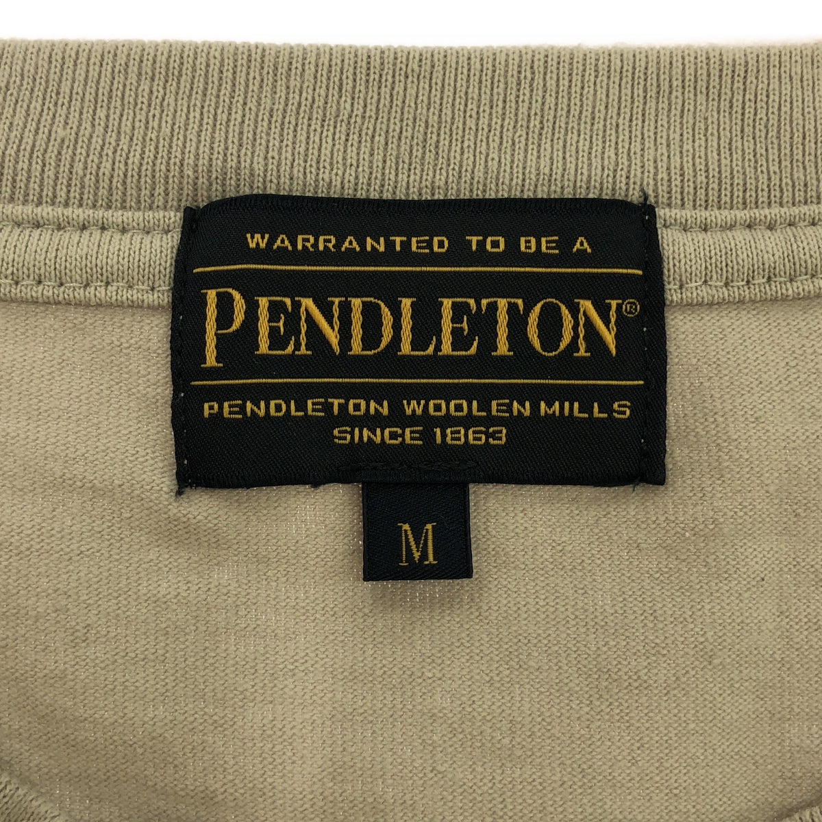 PENDLETON / 펜들턴 | BACK PRINT LONG SLEEVE TEE 백 프린트 롱 슬리브 T 셔츠 | M | 그레이 | 남성