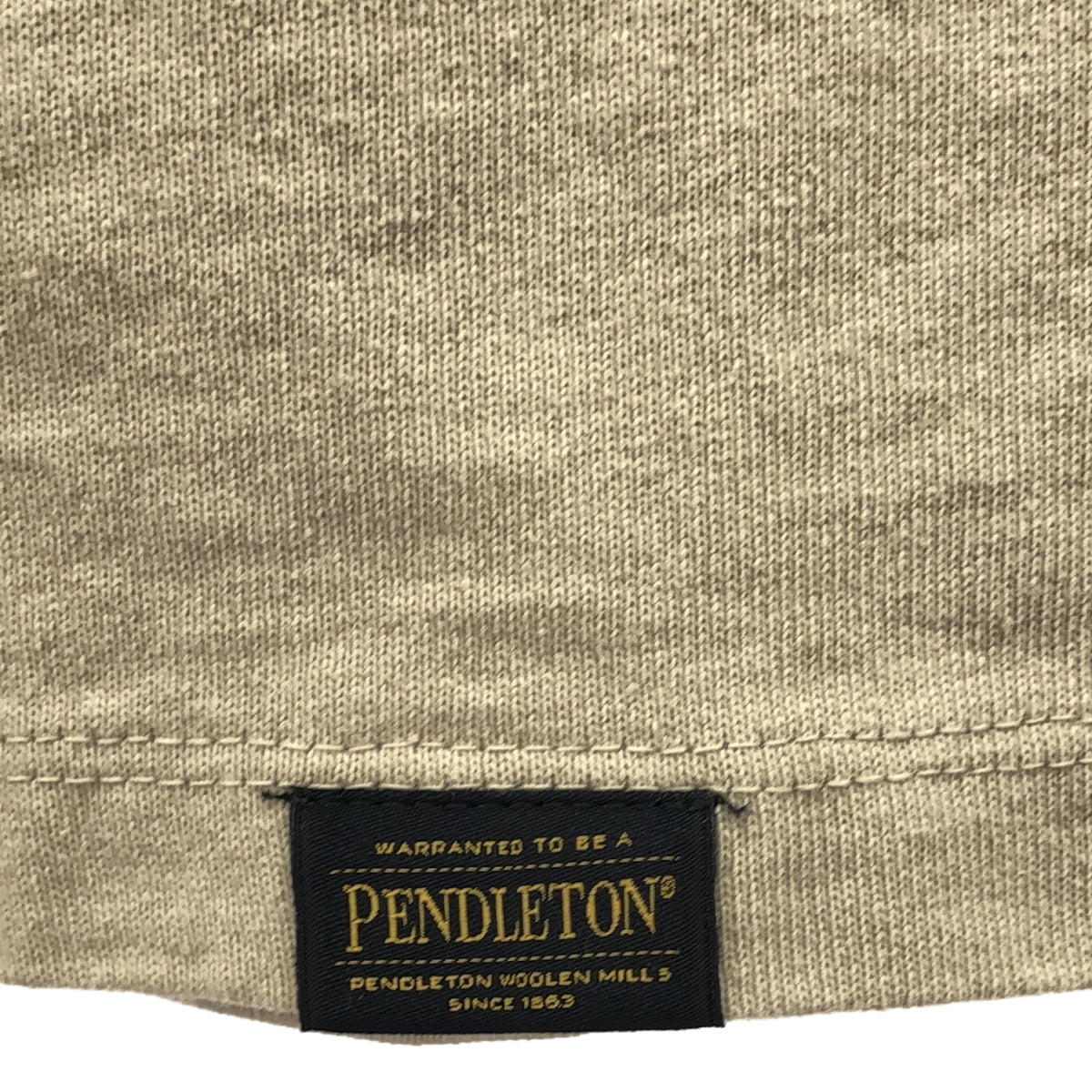 PENDLETON / 펜들턴 | BACK PRINT LONG SLEEVE TEE 백 프린트 롱 슬리브 T 셔츠 | M | 그레이 | 남성