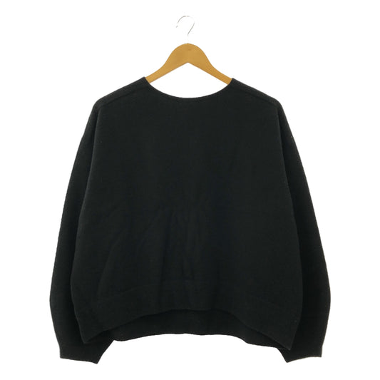 [New] IENA | 2023AW | Extra Fine Lamb Crew Pullover Knit | F | Black | Women's