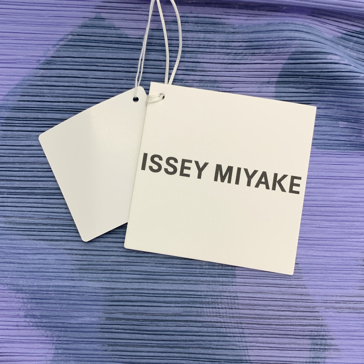 ISSEY MIYAKE / 이세이 미야케 | 2024SS | PHYSIOTYPE PLEATS 푸시 플로랄 패턴 프린트 주름 원피스 |