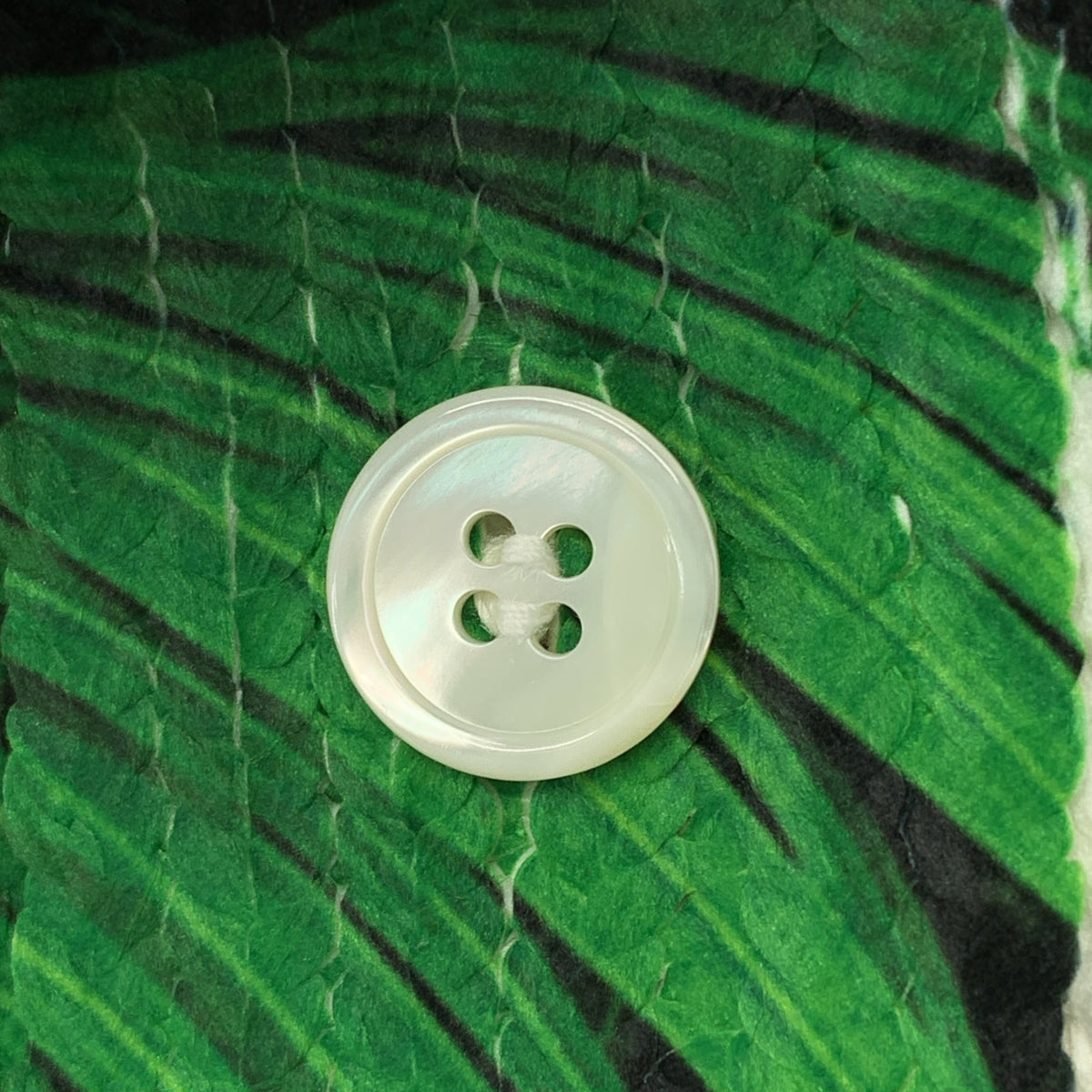 美品】 COMME des GARCONS HOMME PLUS / コムデギャルソンオムプリュス