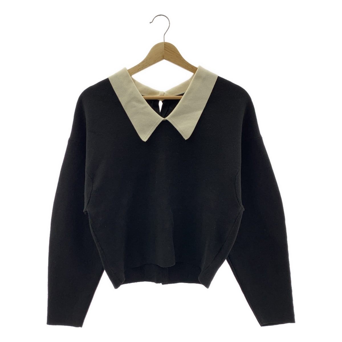 Curensology / カレンソロジー | ポイントカラーニットプルオーバー