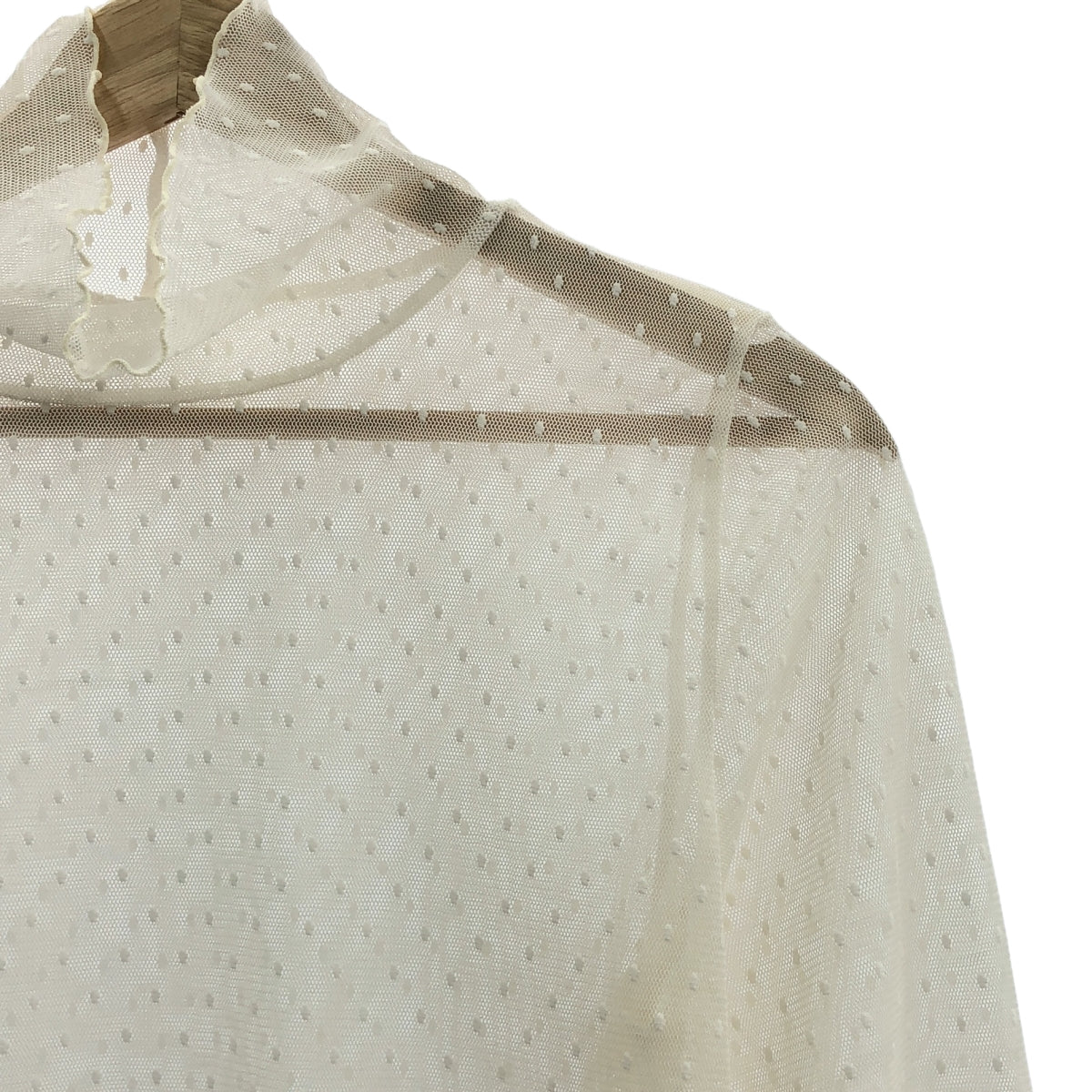 整齊乾淨 | 2024AW | 波爾卡圓點薄紗高領套頭衫 | F |