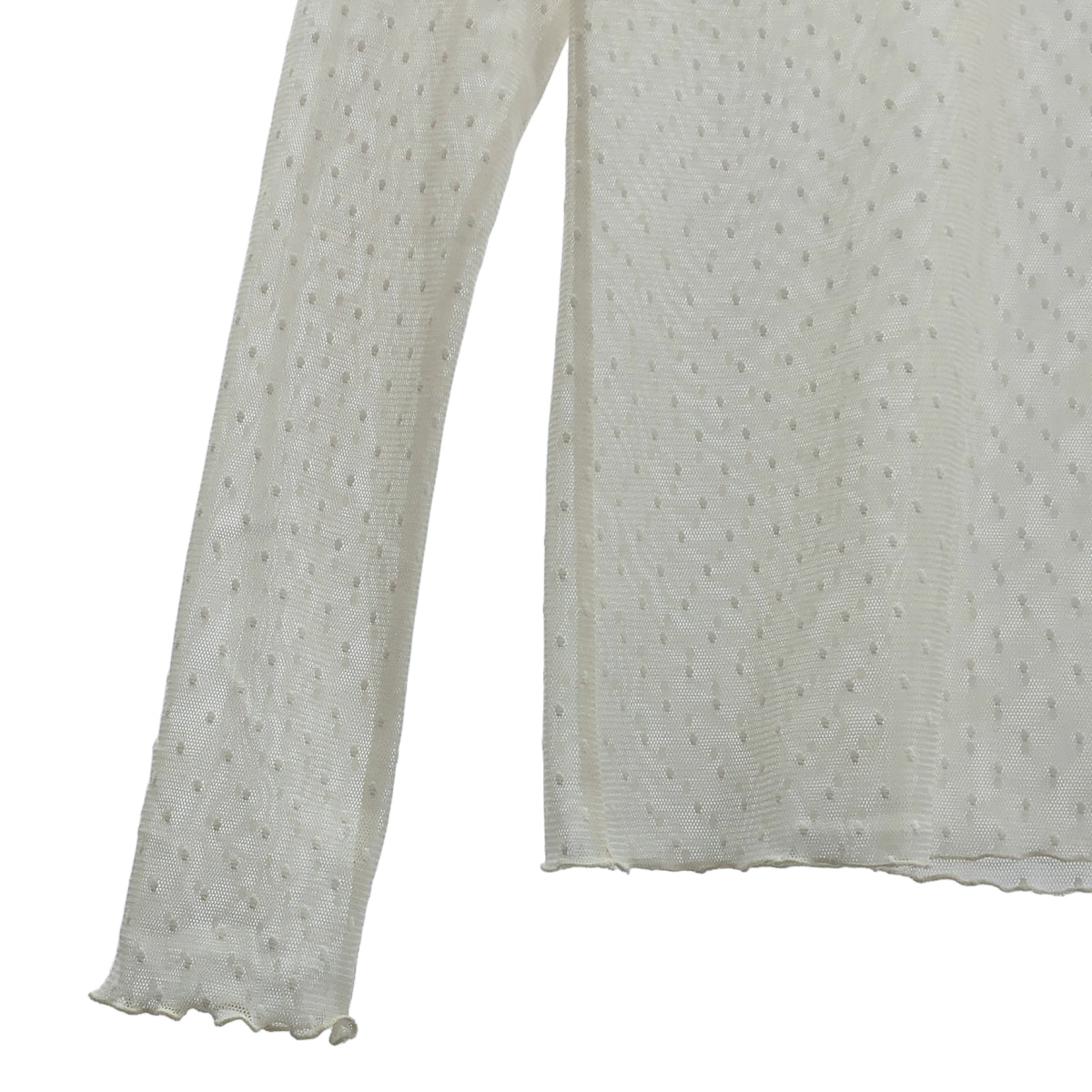 整齊乾淨 | 2024AW | 波爾卡圓點薄紗高領套頭衫 | F |