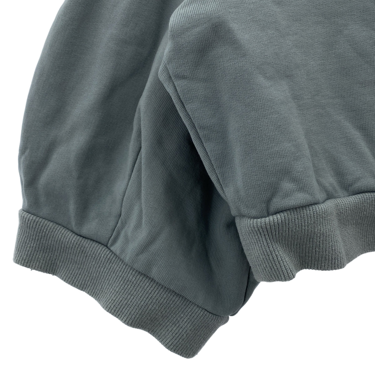 CLANE / 크라네 | ARCH SLEEVE SHORT TOPS 아치 슬리브 쇼트 탑스 | 1 | 여성