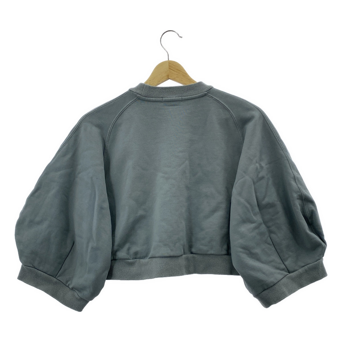 CLANE / 크라네 | ARCH SLEEVE SHORT TOPS 아치 슬리브 쇼트 탑스 | 1 | 여성