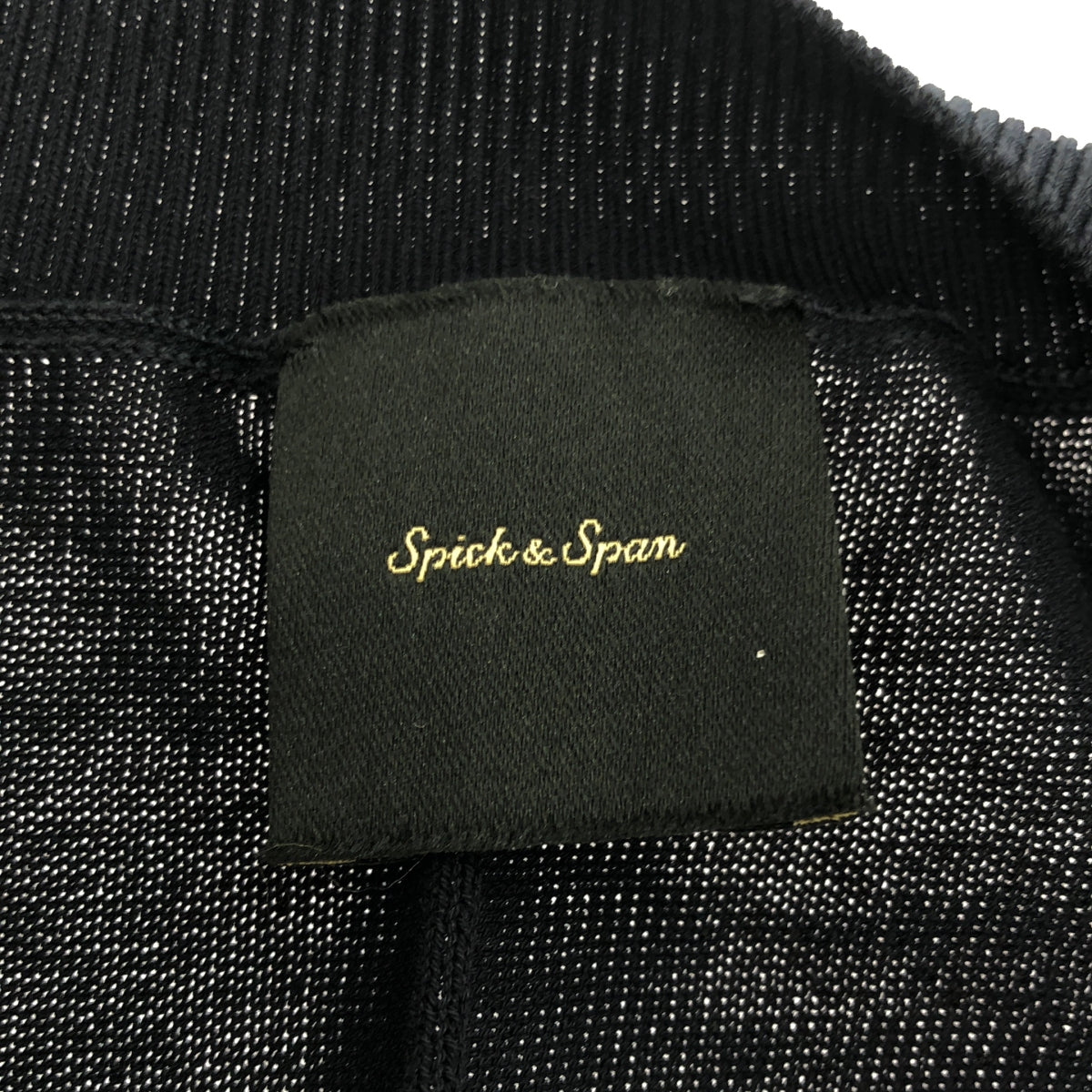 Spick and Span | 2021SS | ICECOTTON BIG V CARDIGAN | F | Women's