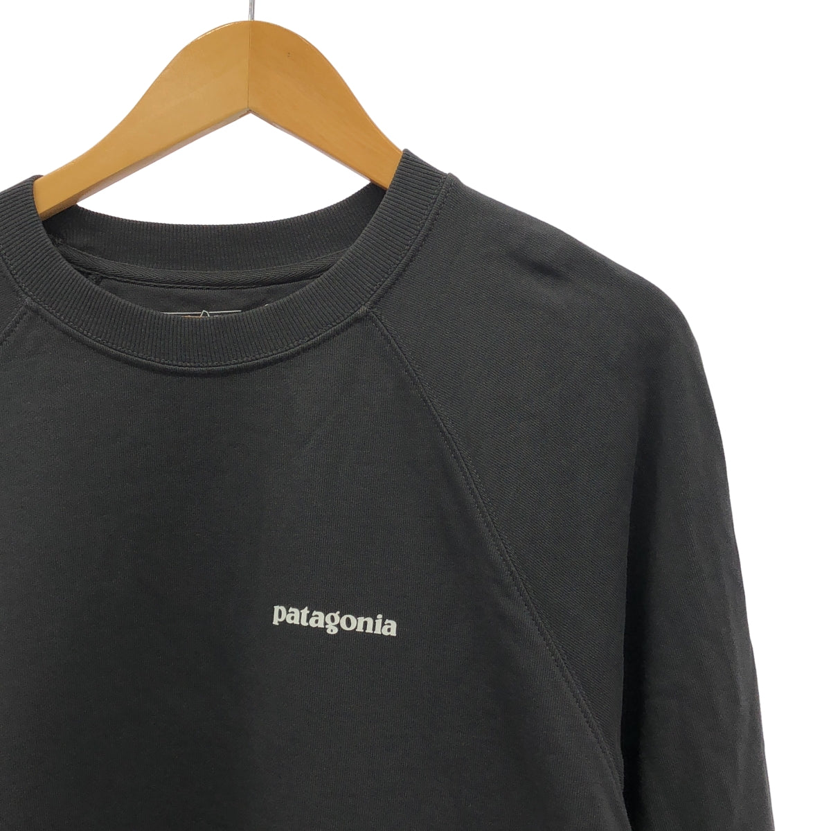 Patagonia / パタゴニア | コットン ロゴプリント スウェット | M | メンズ