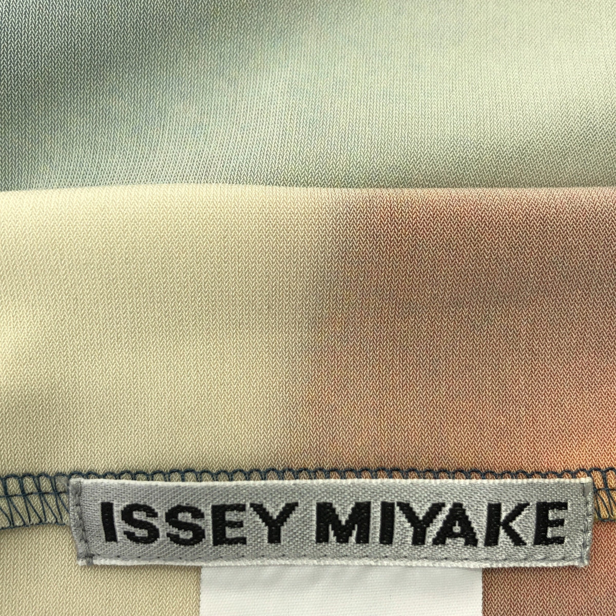 ISSEY MIYAKE / 이세이 미야케 | 2024SS | LIGHT LEAK / 라이트 누설 트리아세테이트 멀티 컬러 스트레치 드레스 원피스 | 2 |