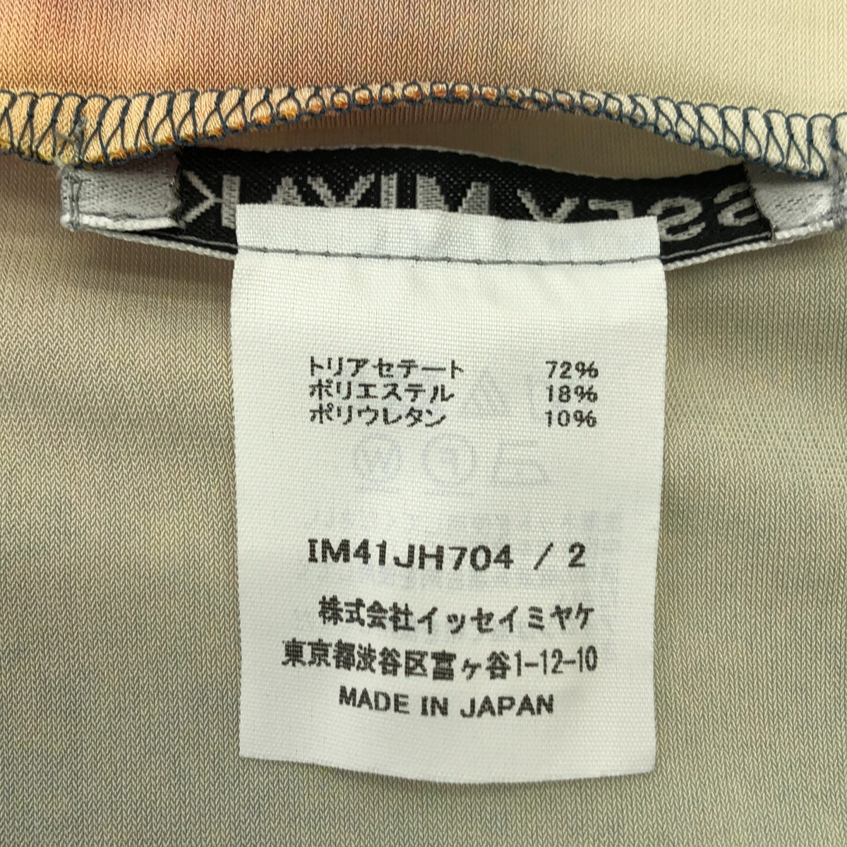 ISSEY MIYAKE / 이세이 미야케 | 2024SS | LIGHT LEAK / 라이트 누설 트리아세테이트 멀티 컬러 스트레치 드레스 원피스 | 2 |