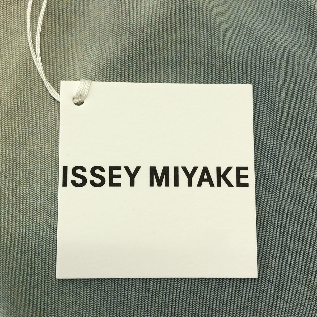 ISSEY MIYAKE / 이세이 미야케 | 2024SS | LIGHT LEAK / 라이트 누설 트리아세테이트 멀티 컬러 스트레치 드레스 원피스 | 2 |