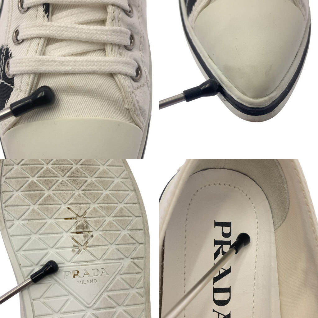 PRADA / プラダ | キャンバス ドット ポインテッドトゥ スニーカー | 36 | ホワイト | レディース