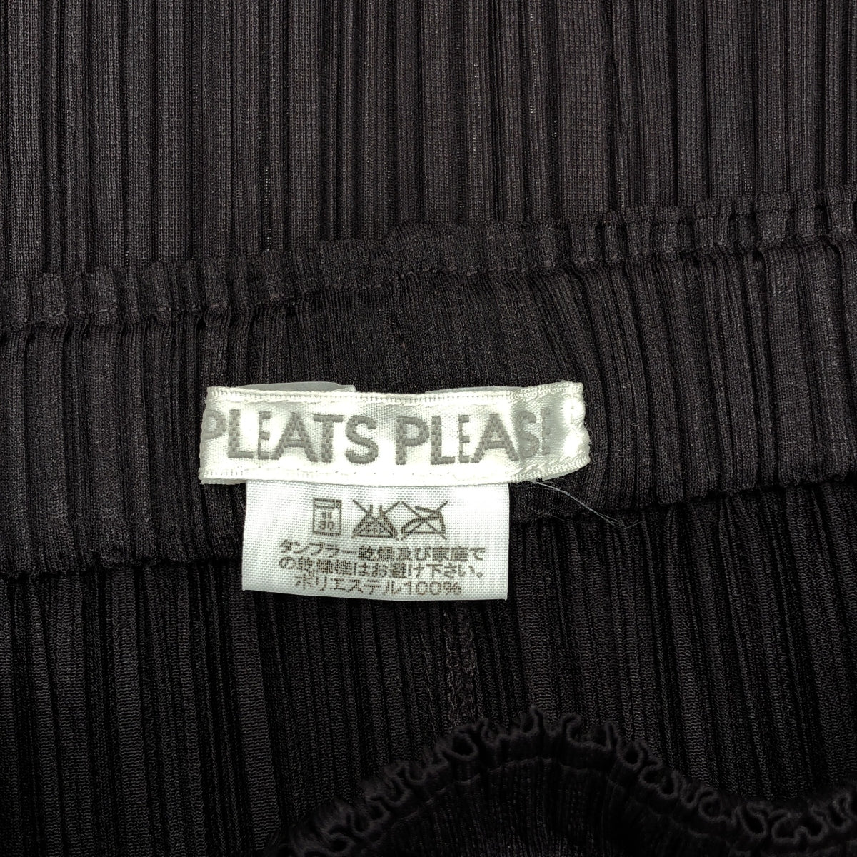 PLEATS PLEASE ISSEY MIYAKE / プリーツプリーズイッセイミヤケ | プリーツ ロング イージースカート | 2 | ダークブラウン | レディース