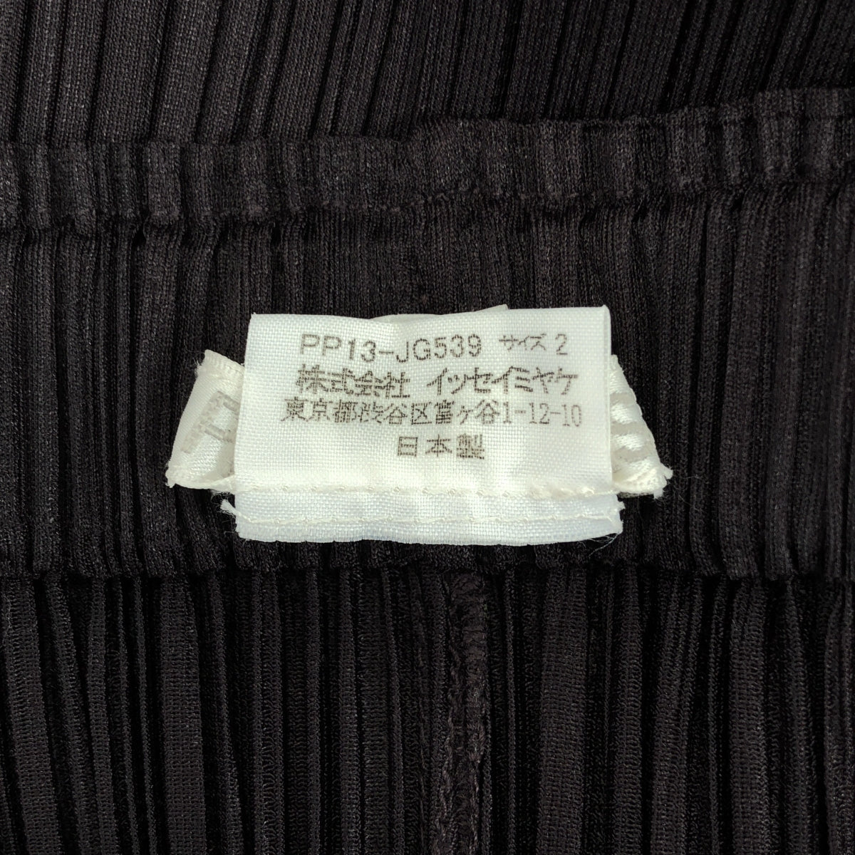PLEATS PLEASE ISSEY MIYAKE / プリーツプリーズイッセイミヤケ | プリーツ ロング イージースカート | 2 | ダークブラウン | レディース