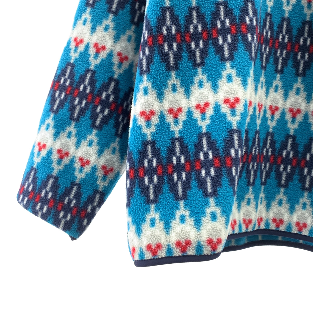 Patagonia / パタゴニア | Synchilla Snap-T Pullover シンチラ