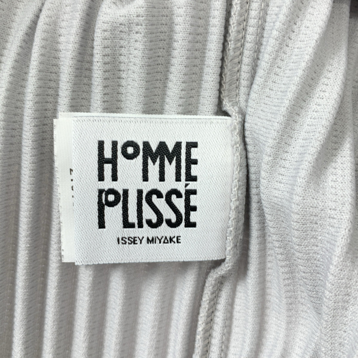 HOMME PLISSE ISSEY MIYAKE / オムプリッセイッセイミヤケ | BASICS プリーツ ハイネック ロングスリーブ カットソー | 2 | メンズ