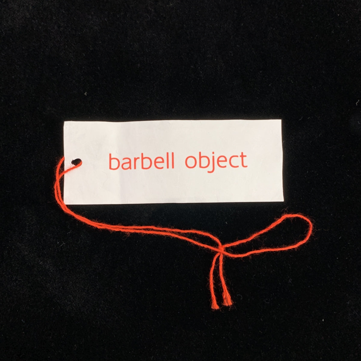 barbell object / バーベル オブジェクト | vel po ベルベット ジップ プルオーバー | 1 | メンズ