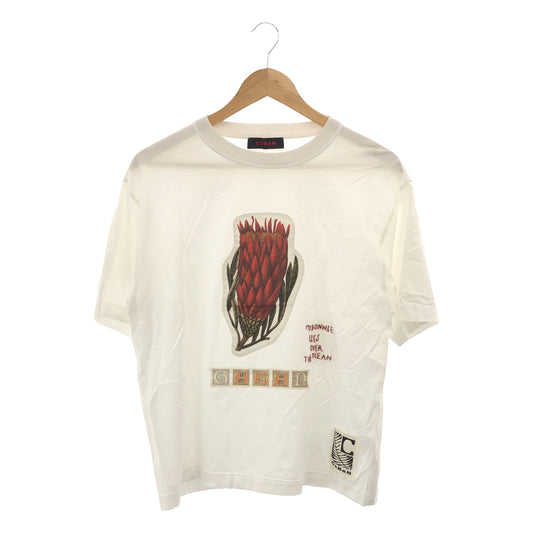 【美品】  CABaN / キャバン | スビンコットン パレルモプリント Ｔシャツ | S | ホワイト | レディース
