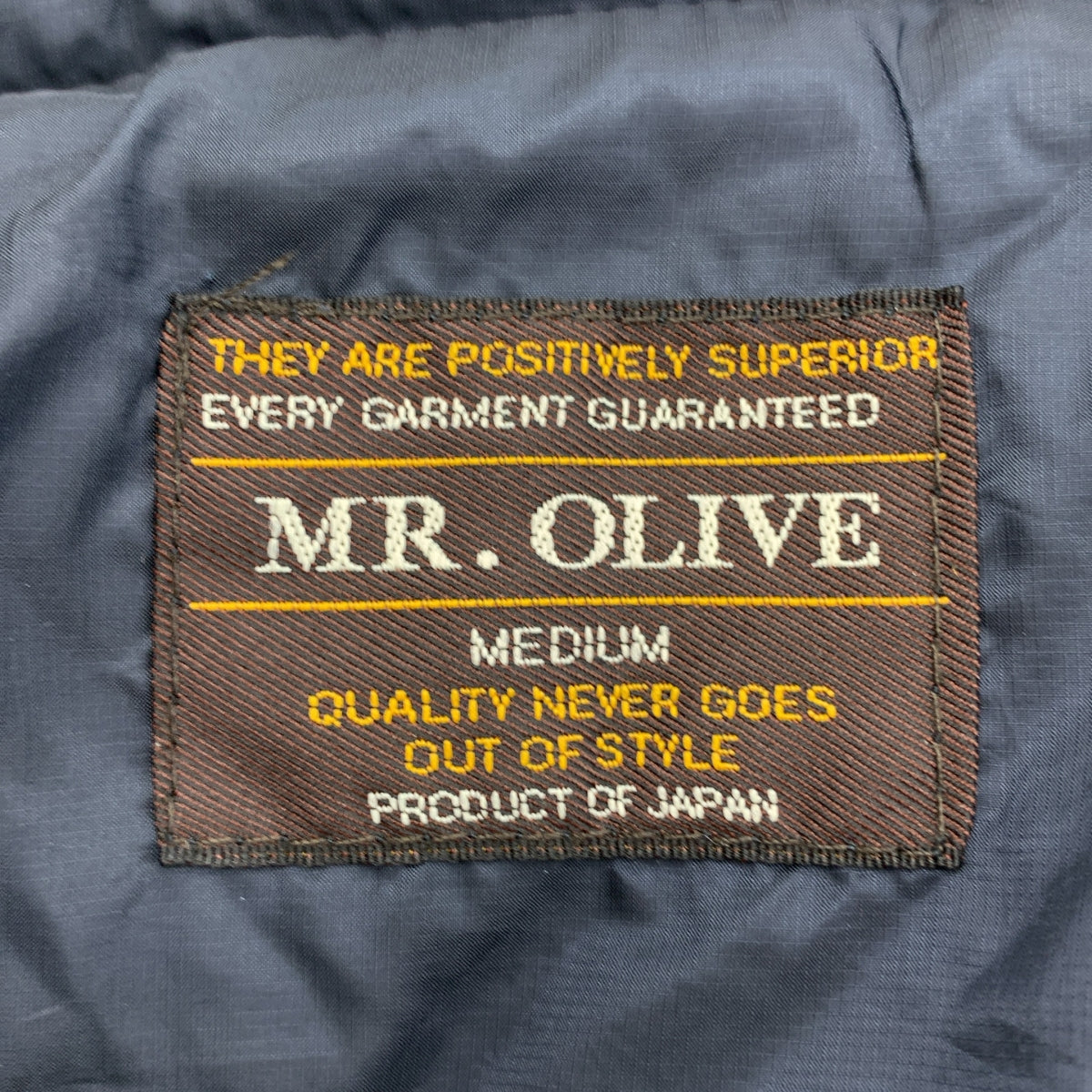 MR.OLIVE / ミスターオリーブ | ダウンジャケット フーディ | M | メンズ