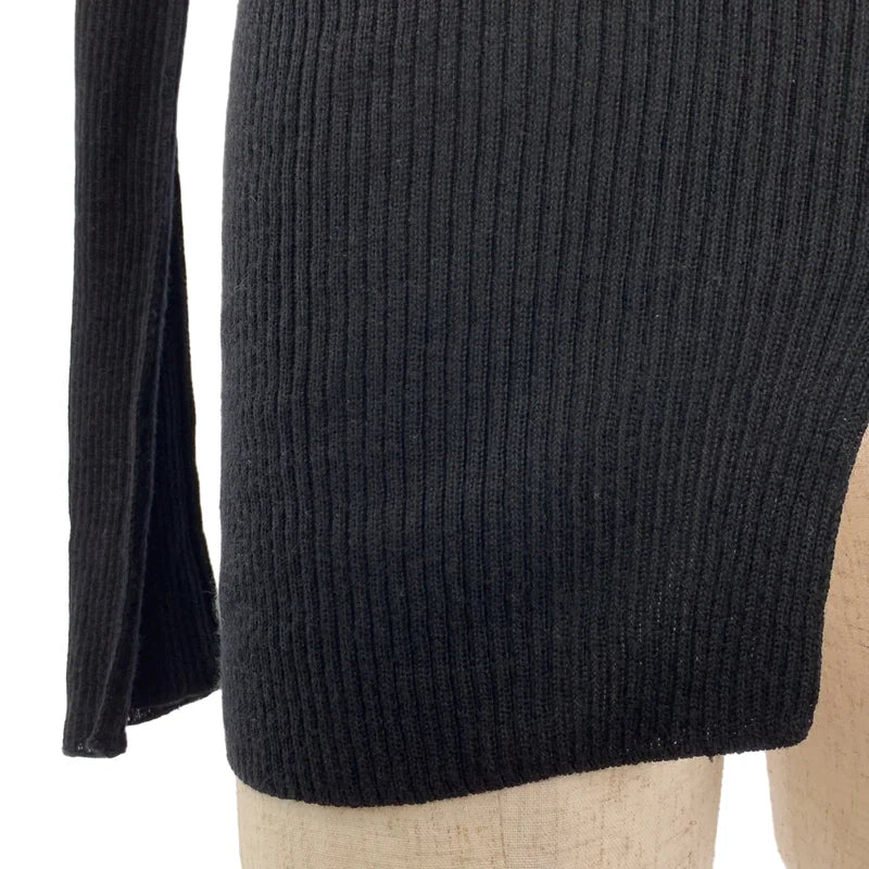 JULIUS / ユリウス | 2023AW | Wool Viscose Coated High Neck Knit ハイネック リブニット | 1 | メンズ
