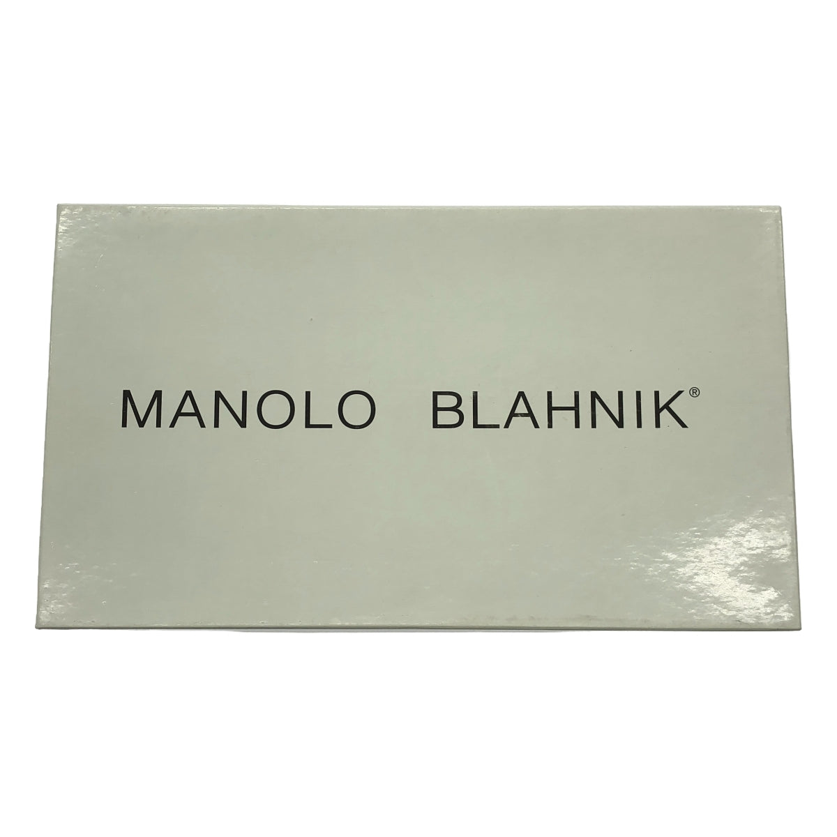 MANOLO BLAHNIK / 마노로 브라니크 | 동물 스웨이드 펌프스 | 36 | 브라운 | 여성